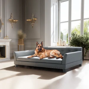 Elevated Dog Sofa Bed